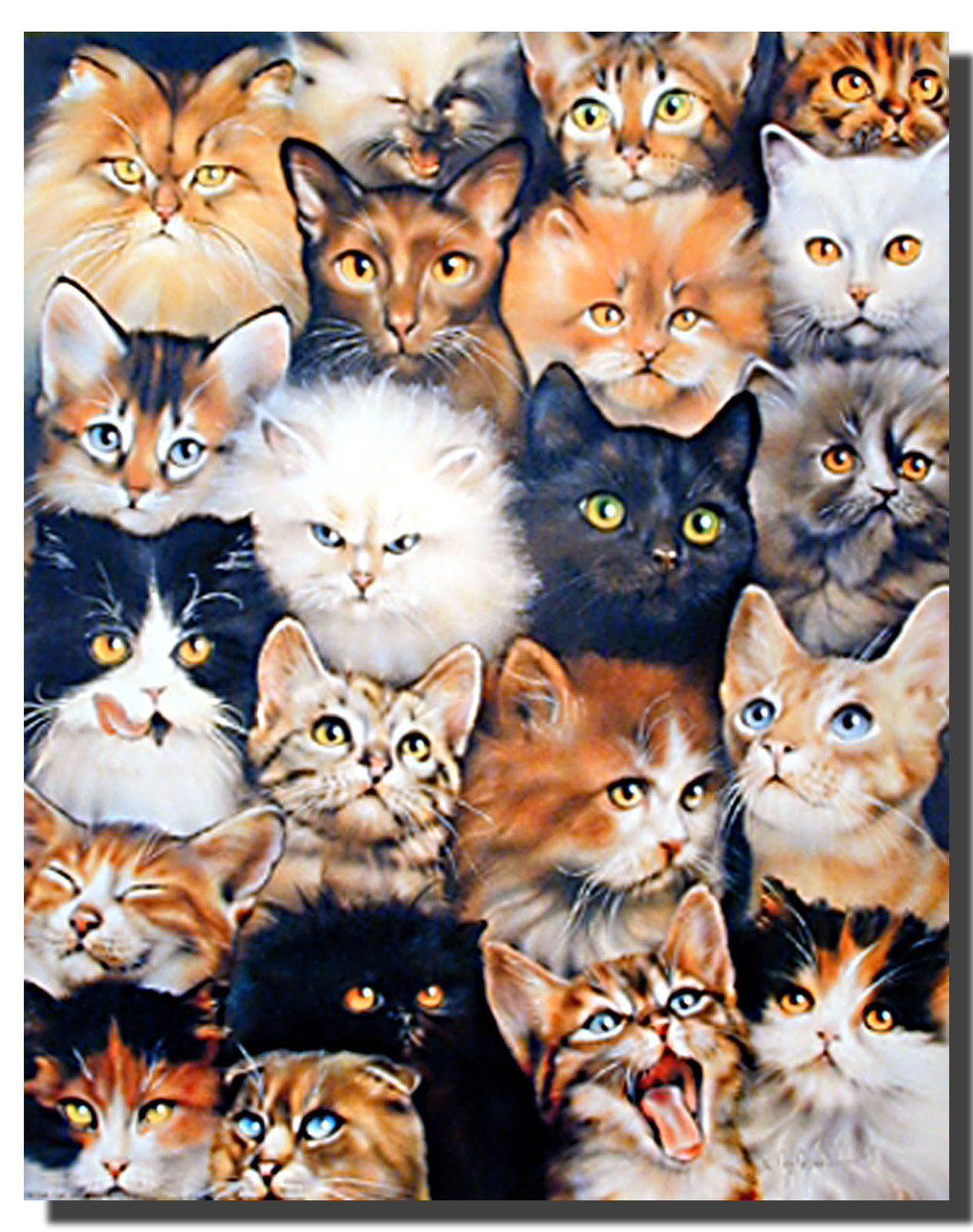 Cat Collage Poster Animal Posters Cat Posters Cat Collage Poster Animal Posters Cat Posters