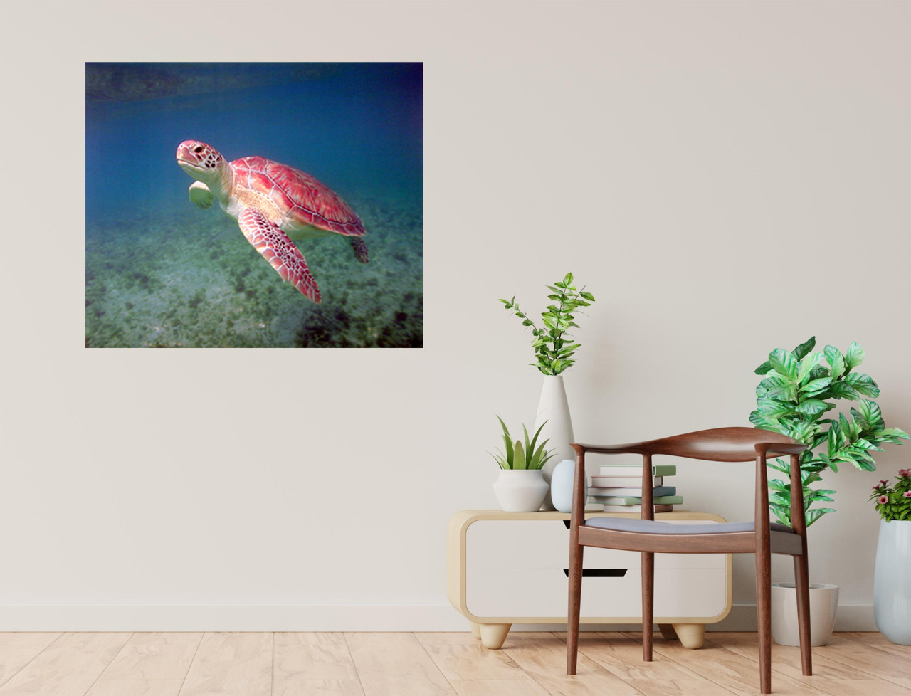 Green Sea Turtle Poster