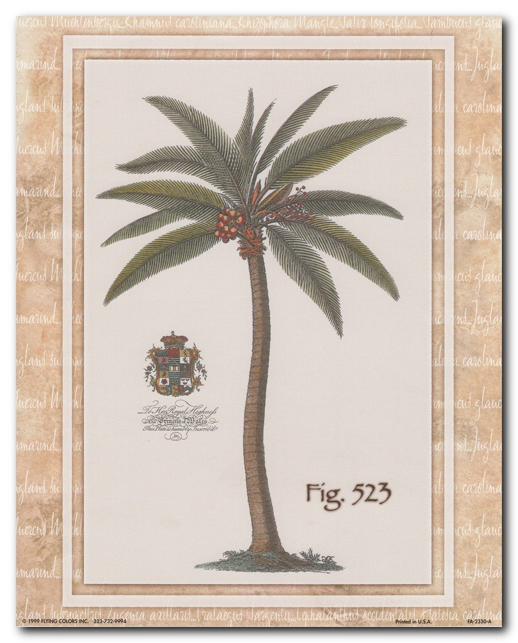 Vintage Palm Tree Fig 523 Tropical Wall Decor Art Print Poster