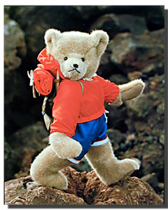 Teddy Backpacker Posters Teddy Backpacker Posters