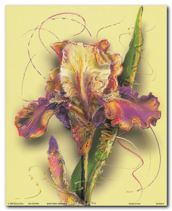Tulip Flower Floral Fine Wall Decor Art Print Poster (16x20) Tulip Flower Floral Fine Wall Decor Art Print Poster (16x20)
