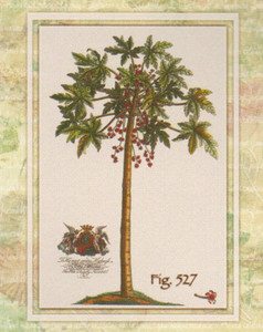 Vintage Tropical Palm Tree Fig 527 Contemporary Wall Decor Art Print Poster (16x20)