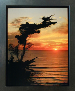Cypress Coastal Sunrise Ocean Landscape Scenery Nature Wall Decor Espresso Framed Picture Art Print (20x24) Cypress Coastal Sunrise Ocean Landscape Scenery Nature Wall Decor Espresso Framed Picture Art Print (20x24)
