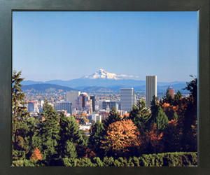 Portland Rose Garden and Mt. Hood Nature Wall Decor Espresso Framed Picture Art Print (20x24) Portland Rose Garden and Mt. Hood Nature Wall Decor Espresso Framed Picture Art Print (20x24)