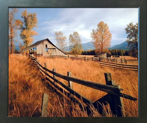 Old Wood Barn with Fence Fall Trees Scenery Wall Decor Espresso Framed Picture Art Print (20x24)
