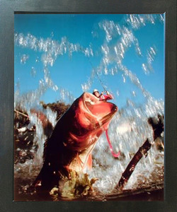 Fish Hooked Lure Bass Fishing Oak Ocean Wall Decor Espresso Framed Picture Art Print (20x24) Fish Hooked Lure Bass Fishing Oak Ocean Wall Decor Espresso Framed Picture Art Print (20x24)