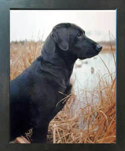 Hunting Black Labrador Dog Animal Wall Decor Espresso Framed Picture Art Print (20x24) Hunting Black Labrador Dog Animal Wall Decor Espresso Framed Picture Art Print (20x24)