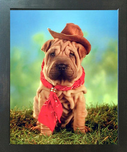 Funny Chinese Shar Pei Cute Puppy Cowboy Kids Room Wall Decor Espresso Framed Picture Art Print (20x24) Funny Chinese Shar Pei Cute Puppy Cowboy Kids Room Wall Decor Espresso Framed Picture Art Print (20x24)