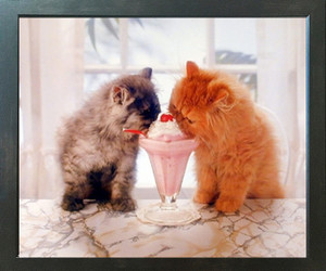 Cute Cat La Perm and Ice Cream Friendship Wall Espresso Framed Picture Art Print (20x24) Cute Cat La Perm and Ice Cream Friendship Wall Espresso Framed Picture Art Print (20x24)