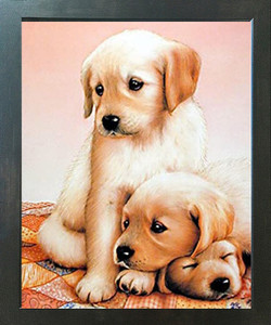 Cute Three Puppies Sleeping Dogs Kids Room Wall Decor Espresso Framed Picture Art Print (20x24) Cute Three Puppies Sleeping Dogs Kids Room Wall Decor Espresso Framed Picture Art Print (20x24)