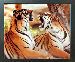 Tiger Pair Roaring Wildlife Animal Wall Decor Espresso Framed Picture Art Print (20x24) Tiger Pair Roaring Wildlife Animal Wall Decor Espresso Framed Picture Art Print (20x24)