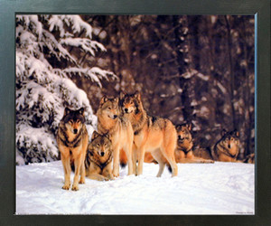 Timber Wolves in Snow Wild Animal Wall Decor Espresso Framed Picture Art Print (20x24)