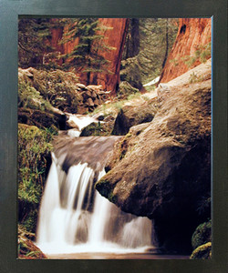 Redwood Fall Forest Stream Scenery Wall Decor Espresso Framed Picture Art Print (20x24) Redwood Fall Forest Stream Scenery Wall Decor Espresso Framed Picture Art Print (20x24)