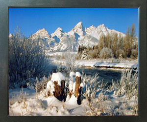 Grand Teton Covered with Snow Under Willow Tree Scenery Wall Espresso Picture Framed Art Print (20x24)