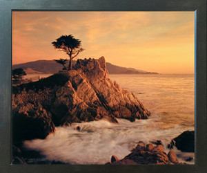 Lone Cypress Tree Pebble Beach Ocean Scenery Wall Decor Espresso Framed Art Print Picture (20x24) Lone Cypress Tree Pebble Beach Ocean Scenery Wall Decor Espresso Framed Art Print Picture (20x24)