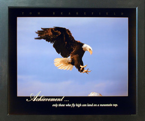 Bald Eagle Diving Landing Achievement Wild Bird Animal Espresso Framed Art Print (20x24)