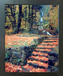 Waterfall And Fallen Autumn Leaves On Steps Nature Scenery Wall Decor Espresso Framed Picture Art Print (20x24) Waterfall And Fallen Autumn Leaves On Steps Nature Scenery Wall Decor Espresso Framed Picture Art Print (20x24)