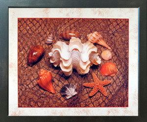 Starfish with Seashells Ocean Wall Bathroom Decor Espresso Framed Picture Art Print (20x24) Starfish with Seashells Ocean Wall Bathroom Decor Espresso Framed Picture Art Print (20x24)