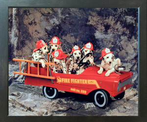 Dalmatian Puppies in Fire Truck Dog Animal Wall Decor Espresso Framed Picture Art Print (20x24) Dalmatian Puppies in Fire Truck Dog Animal Wall Decor Espresso Framed Picture Art Print (20x24)