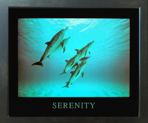 Serenity Dolphins Ocean Underwater Animal Espresso Framed Picture Art Print (20x24) Serenity Dolphins Ocean Underwater Animal Espresso Framed Picture Art Print (20x24)