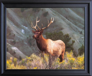 Whitetail Buck Deer Big Antler Rack Mountain Wildlife Animal Picture Wall Decor Black Framed Art Print Poster (19x23) Whitetail Buck Deer Big Antler Rack Mountain Wildlife Animal Picture Wall Decor Black Framed Art Print Poster (19x23)
