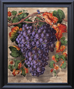 Black Grape Still Life Fruit Kitchen Wall Decor Black Framed Art Print Poster (19x23)