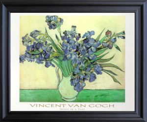 Vincent Van Gogh Iris Flower in vase Floral Black Framed Art Print Poster (19x23)