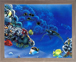 Tropical Fish And Tortoise (Turtle) Underwater Ocean Animal Barnwood Framed Art Print Poster (19x23) Tropical Fish And Tortoise (Turtle) Underwater Ocean Animal Barnwood Framed Art Print Poster (19x23)