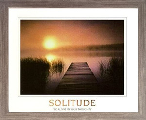 The Solitude of the Sea Sunset Inspirational Nature Wall Decor Barnwood Framed Art Print Poster (19x23)