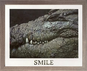Poster Of Wild Alligator Crocodile Animal Wall Decor Barnwood Framed Art Print Poster (19x23)