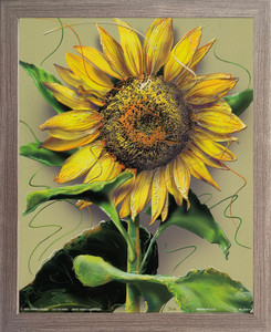Sunflower Flower Floral Wall Decor Barnwood Framed Art Print Poster (19x23) Sunflower Flower Floral Wall Decor Barnwood Framed Art Print Poster (19x23)