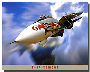 F-14 Tomcat Poster