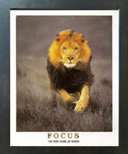 Running Lion Focus On The Task At Hand Wildlife Inspirational Animal  Espresso Framed Art Print Poster (18x24)