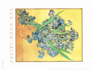 Vincent Van Gogh Irise Flower Wall Decor Art Print (22x28) Vincent Van Gogh Irise Flower Wall Decor Art Print (22x28)