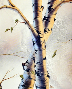 Forest Aspen Tree Wall Decor Art Print Poster (16x20)