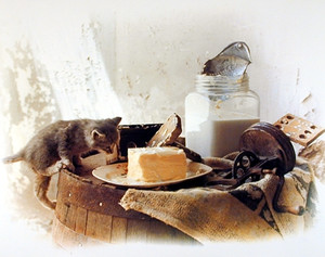 Country Cute Kitten Homemade Butter Still Life Wall Decor Art Print Poster (16x20)