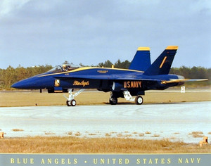 US Navy Blue Angels Jet Aviation Aircraft Wall Decor Art Print Poster (16x20)