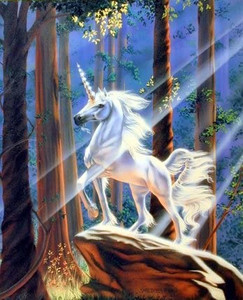 はせくらみゆき　White Forest　ユニコーン　馬　アート　絵 Unicorn Poster- Light in the Forest | Fantasy Posters