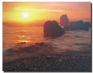Sunset At Ecola State Park Beach Oregon Scenery Wall Decor Art Print Poster (8x10) Sunset At Ecola State Park Beach Oregon Scenery Wall Decor Art Print Poster (8x10)