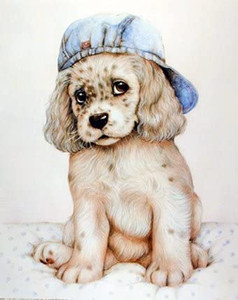 Dalmatian Puppy in Cap Debbie Cook Dog Animal Picture Wall Decor Art Print (8x10) Dalmatian Puppy in Cap Debbie Cook Dog Animal Picture Wall Decor Art Print (8x10)