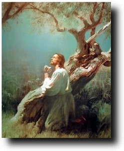 Jesus Christ Praying at The Garden of Gethsemane Religious Picture Art Print (8x10) Jesus Christ Praying at The Garden of Gethsemane Religious Picture Art Print (8x10)