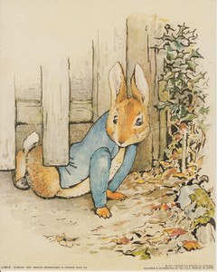 The Tale of Peter Rabbit Beatrix Potter Kids Room Wall Decor Art Print Poster (8x10) The Tale of Peter Rabbit Beatrix Potter Kids Room Wall Decor Art Print Poster (8x10)