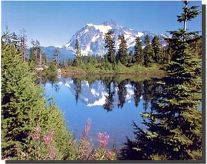 Reflection of Mountain Shuksan in Lake Landscape Scenery Wall Decor Poster Art Print Picture (8x10) Reflection of Mountain Shuksan in Lake Landscape Scenery Wall Decor Poster Art Print Picture (8x10)