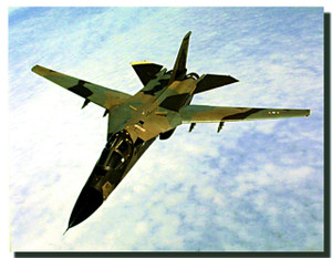 FB-111 Aardvark Poster