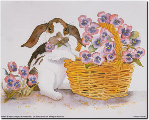 Bunny Rabbit with Basket of Pansies Flowers Kids Room Wall Decor Art Print Picture (8x10) Bunny Rabbit with Basket of Pansies Flowers Kids Room Wall Decor Art Print Picture (8x10)
