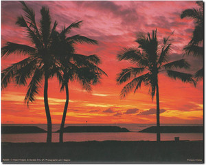 Coastal Mood Ocean Beach Sunset & Palm Trees Scenery Landscape Wall Decor Art Print Poster (8x10) Coastal Mood Ocean Beach Sunset & Palm Trees Scenery Landscape Wall Decor Art Print Poster (8x10)