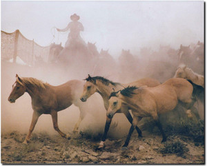 Western Horses Running in Herd Wild Animal Wall Decor Art Print Picture (8x10) Western Horses Running in Herd Wild Animal Wall Decor Art Print Picture (8x10)