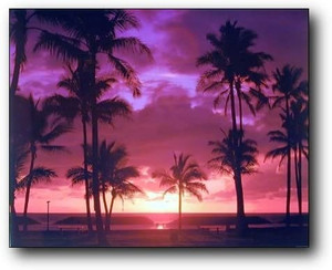 Purple Tropical Sunset Landscape Scenery Wall Decor Picture Art Print (8x10) Purple Tropical Sunset Landscape Scenery Wall Decor Picture Art Print (8x10)