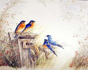Bluebirds on Tree Feeder Bird Animal Wall Decor Picture Art Print (8x10) Bluebirds on Tree Feeder Bird Animal Wall Decor Picture Art Print (8x10)