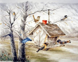 Wild Birds At Feeder Animal Wall Decor Picture Art Print (8x10) Wild Birds At Feeder Animal Wall Decor Picture Art Print (8x10)
